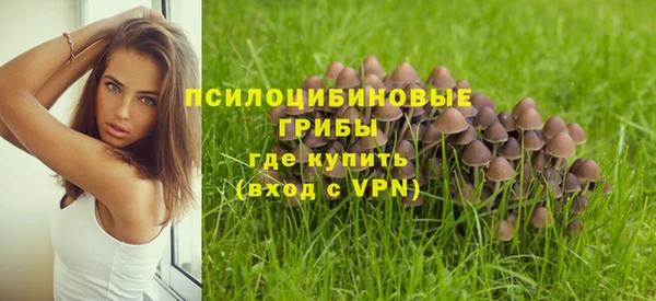 гидропоника Бугульма