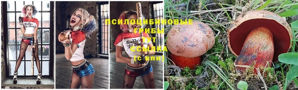 гидропоника Бугульма
