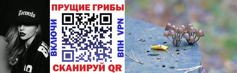 мега онион  Владивосток  Псилоцибиновые грибы прущие грибы 